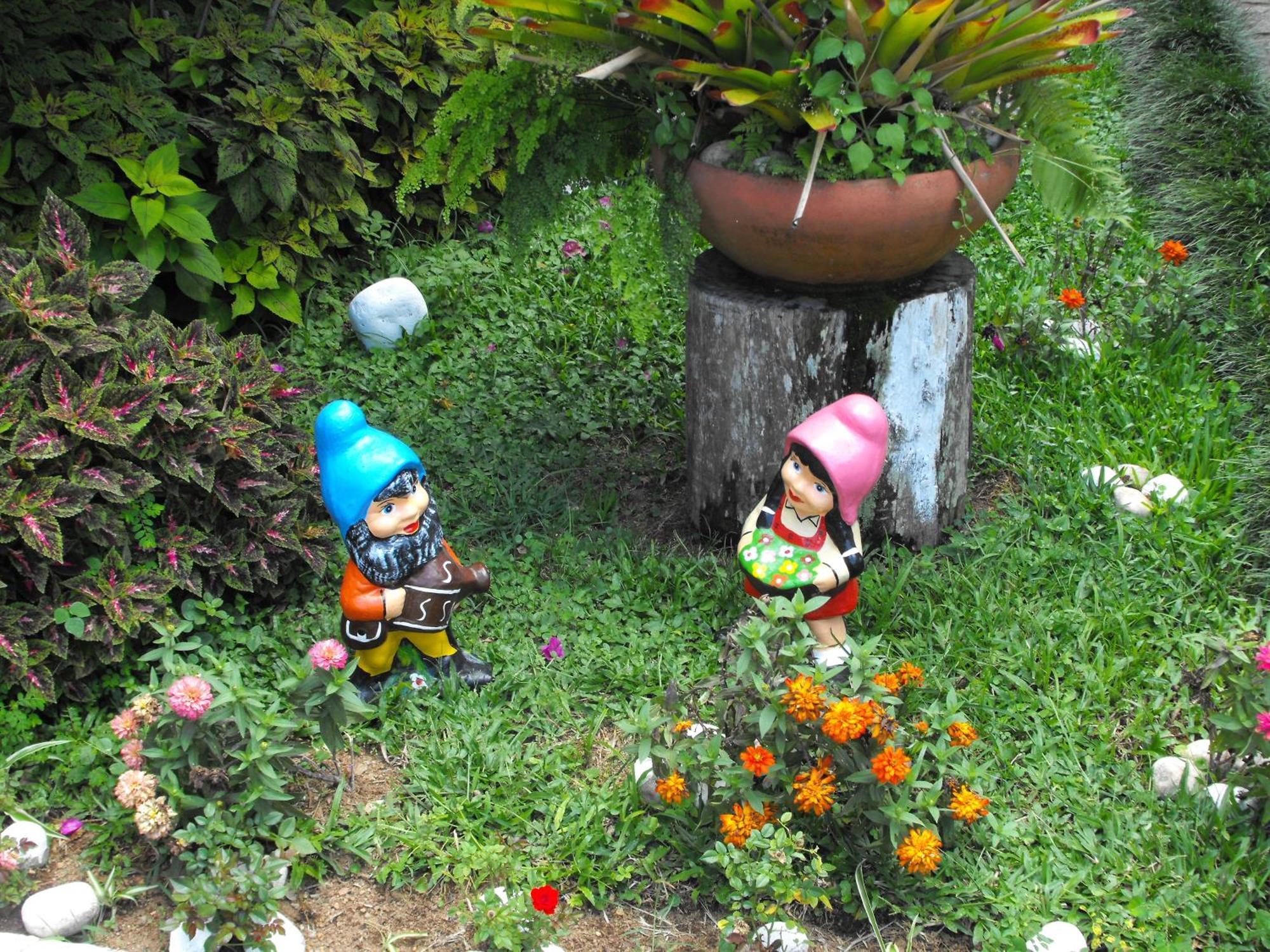 Pousada Cascata Dos Amores Teresópolis Zewnętrze zdjęcie